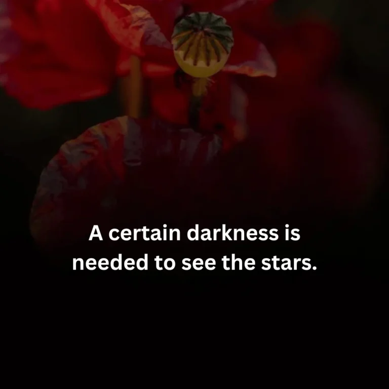 A certain darkness is needed to see the stars.
